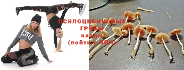 а пвп мука Абаза