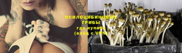 герыч Алексин