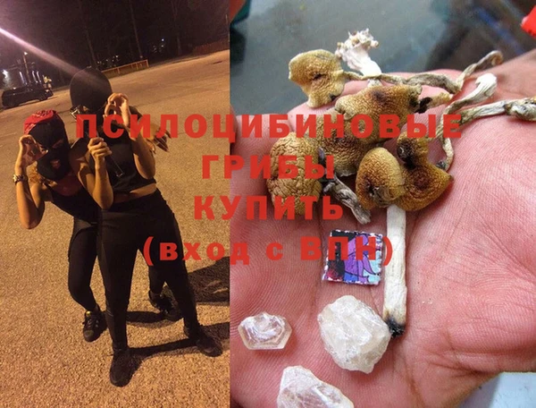 прущие крисы Майский