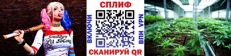 где купить наркоту  Ессентукская  Конопля LSD WEED 